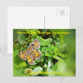 Postale American Lady Butterfly est un messager, carte pos (Devant / Derrière)