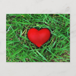 Postale Amour respectueux de l'environnement - Carte posta