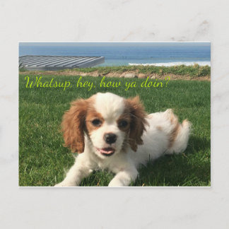 Postale Annie la Reine, carte de voeux