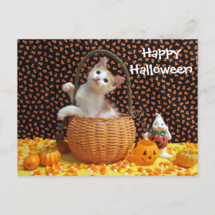 Postale Annie's Sweet Halloween Chat / Kitten Carte postal
