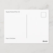 Postale Arbre de séquoia géant à Grant Grove, CA Carte pos (Dos)