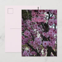Arbre Fleurissant Rose au Printemps, Carte d'Anniv