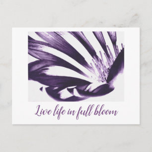 Postale Art by Heather Live life in full floraison carte p