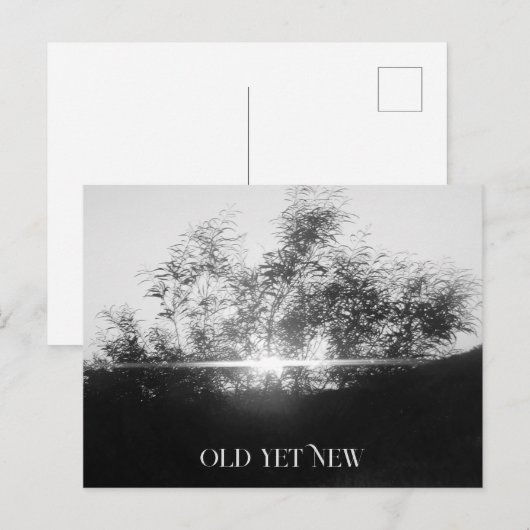 POSTALE ART ET CONCEPTION DE LA CARTE POST (Devant / Derrière)