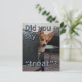 Postale "As-tu dit 'friandise' ?" Carte Corgi (Debout devant)
