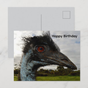 Postale Attraction d'émeu australien, carte d'anniversaire