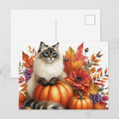 Postale Automne Feuilles Citrouilles et Ragdoll Cat carte  (Devant / Derrière)
