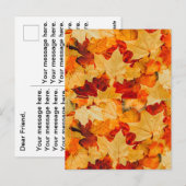 Postale Automne Feuilles de voeux Carte de voeux (Devant / Derrière)