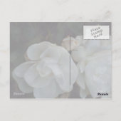 Postale Avec sincères condoléances - Carte de condoléances (Dos)