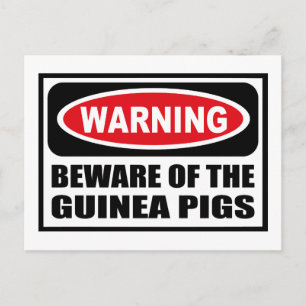 Postale Avertissement ATTENTION DE LA GUINEA PIGS Carte po