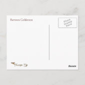 Postale Barrows Goldeneye Wildlife Series # 16 Carte posta (Dos)