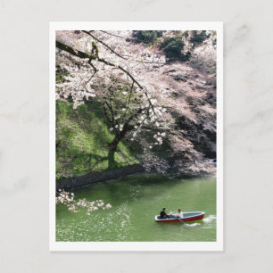 Postale Bateau sur Chidorigafuchi : Tokyo, Japon Carte pos