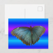 Postale Beau Papillon bleu Morpho do-it-yourself carte pos (Devant / Derrière)