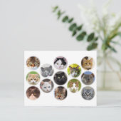 Postale Beaucoup de carte de chats (Debout devant)
