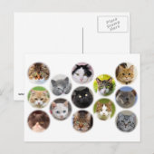 Postale Beaucoup de carte de chats (Devant / Derrière)