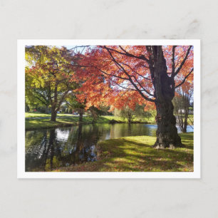 Postale Bellarmine Pond, Fairfield University Carte postal