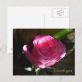Postale Belle carte rose rose (Devant / Derrière)