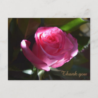 Postale Belle carte rose rose