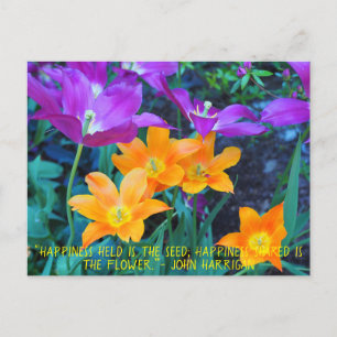 Postale Belle Tulipes Printemps Orange Purple Carte Postal