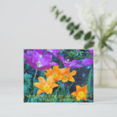 Postale Belle Tulipes Printemps Orange Purple Carte Postal (Debout devant)