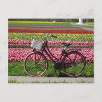 Bicyclette à Tulips Field do-it-yourself carte pos