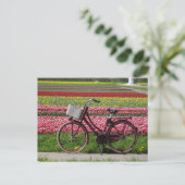 Postale Bicyclette à Tulips Field do-it-yourself carte pos (Debout devant)