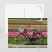 Postale Bicyclette à Tulips Field do-it-yourself carte pos (Devant / Derrière)