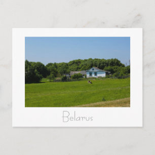 Postale Biélorussie Б л а р с Paysage naturel carte postal