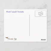 Postale Black Capped Chickadee Wildlife Series #3 Carte po (Dos)