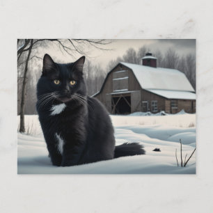 Postale Black Cat Serie 2 02 Briefkaart