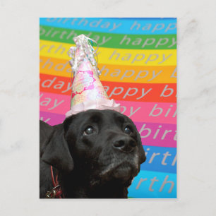 Postale Black Dog coloré joyeux texte d'anniversaire carte