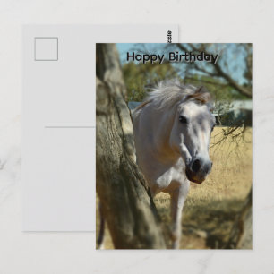 Postale Blanche Neige Le Cheval, Carte De Vœux D'anniversa