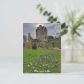 Postale Blarney Castle, Comté de Cork, Irlande Carte posta (Debout devant)