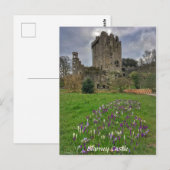 Postale Blarney Castle, Comté de Cork, Irlande Carte posta (Devant / Derrière)