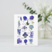 Postale Blauwe bloem Briefkaart (Staand voorkant)