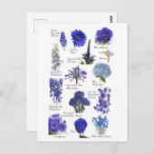 Postale Blauwe bloem Briefkaart (Voorkant / Achterkant)