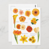 Postale bloem Oranje Briefkaart (Voorkant / Achterkant)