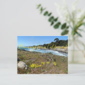 Postale Bloomings from California : Les pas... Carte posta (Debout devant)