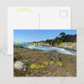 Postale Bloomings from California : Les pas... Carte posta (Devant / Derrière)