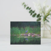 Postale Blue Heron Reflections Animal Peinture Carte posta (Debout devant)