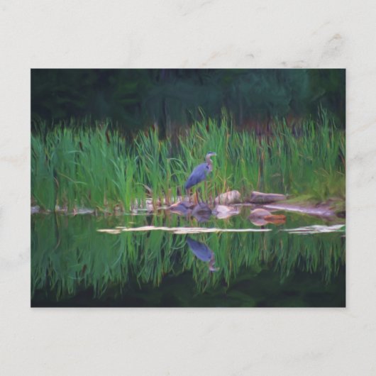 Postale Blue Heron Reflections Animal Peinture Carte posta (Devant)