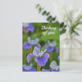 Postale Blue Iris Flower Portrait Penser à vous Carte post (Debout devant)