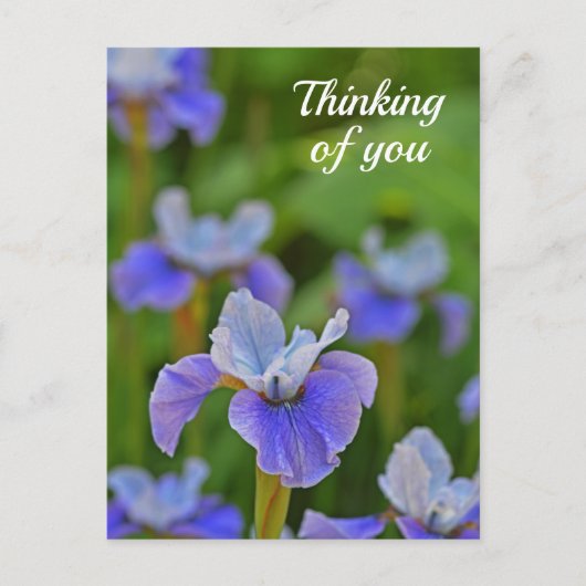 Postale Blue Iris Flower Portrait Penser à vous Carte post (Devant)