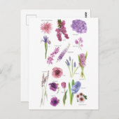 Postale Blue Purple-kaart Briefkaart (Voorkant / Achterkant)