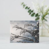 Postale Boire à manger Soit effrayé Zombie Skeleton Carte  (Debout devant)