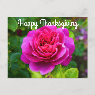 Postale Bon thanksgiving Princesse Anne Rose #1 Carte post