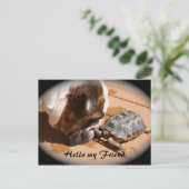 Postale Bonjour ma carte de poste d'ami (Debout devant)