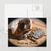 Postale Bonjour ma carte de poste d'ami (Devant / Derrière)