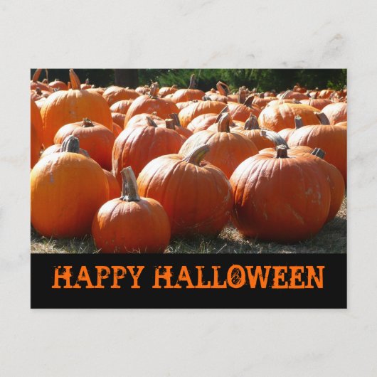 Postale Bonne carte Citrouille Halloween (Devant)