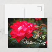 Postale Bonne fête des mères Cherry Parfait Rose #2 Carte  (Devant / Derrière)